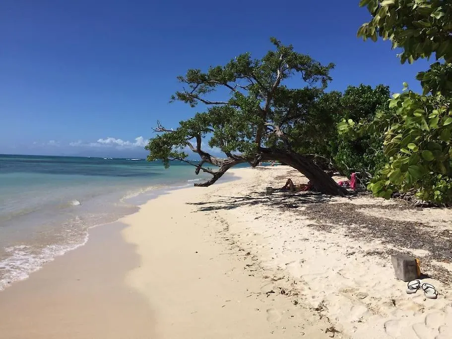 Villa La Desirade 4/5 P St Francois 50 M De La Plage Et De L'Anse De Mancenillier Saint-Francois   Saint-Francois (Grande-Terre)